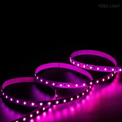 RGBW RGB Led Strip Lights SMD5050 24V 60 LEDs/m LED Rope Light