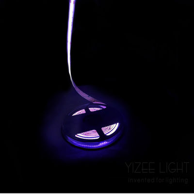 RGB RGBW Adreserbare Led Strip 784Chips/M 24V 12mm