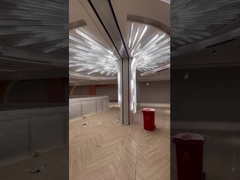 Adresseerbaar Geleid de Strooklicht 120leds/m 14.4w/m van DMX IC Pixel